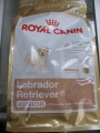 Labrador Retriever Junior 12кг